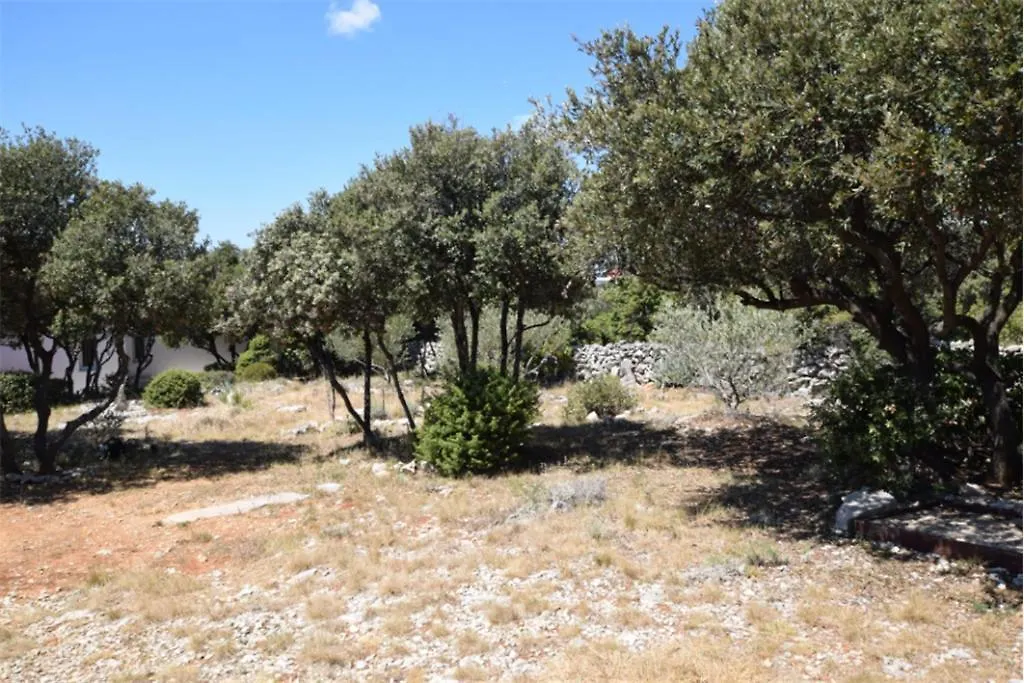 Apartment Petar 2 Mandre